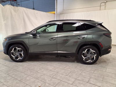 2024 Hyundai Tucson Hybrid Limited