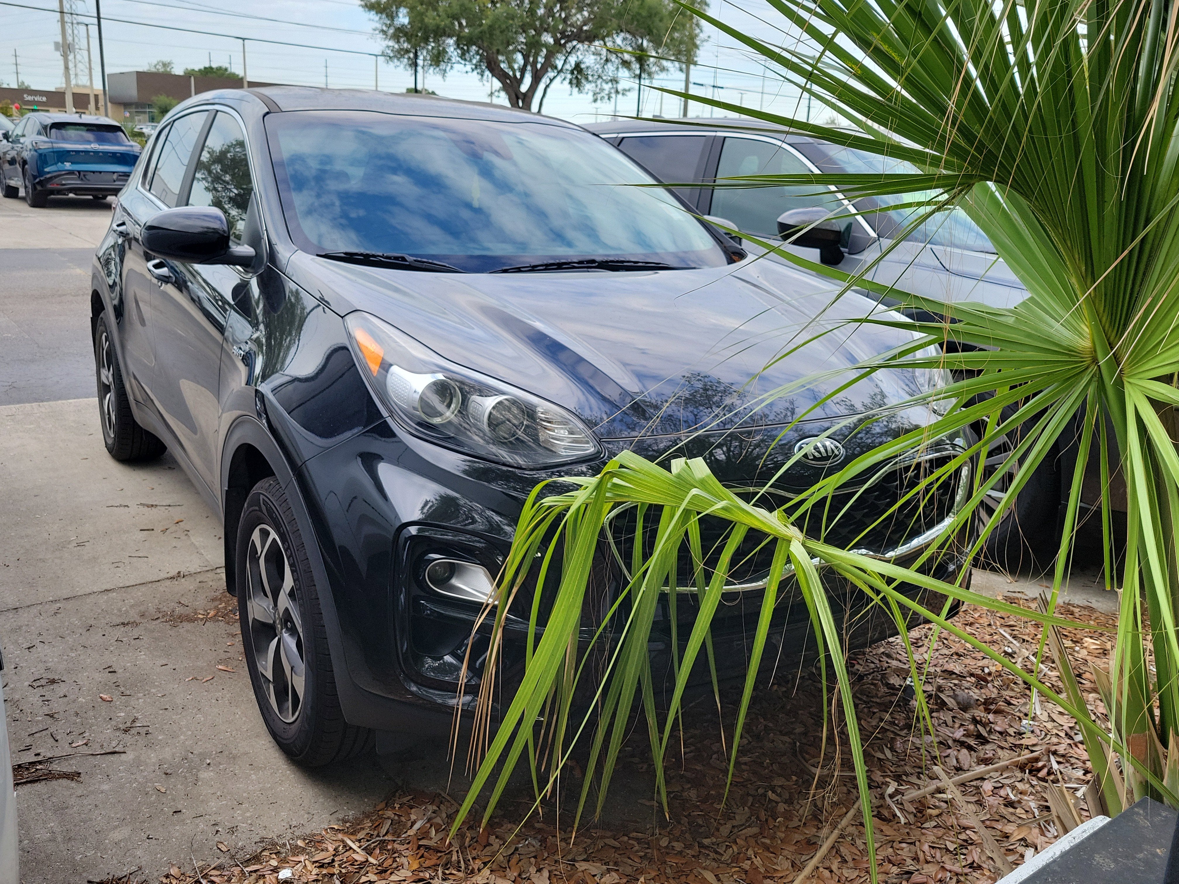 2022 Kia Sportage