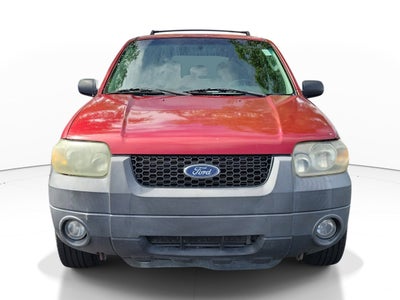 2006 Ford Escape XLT