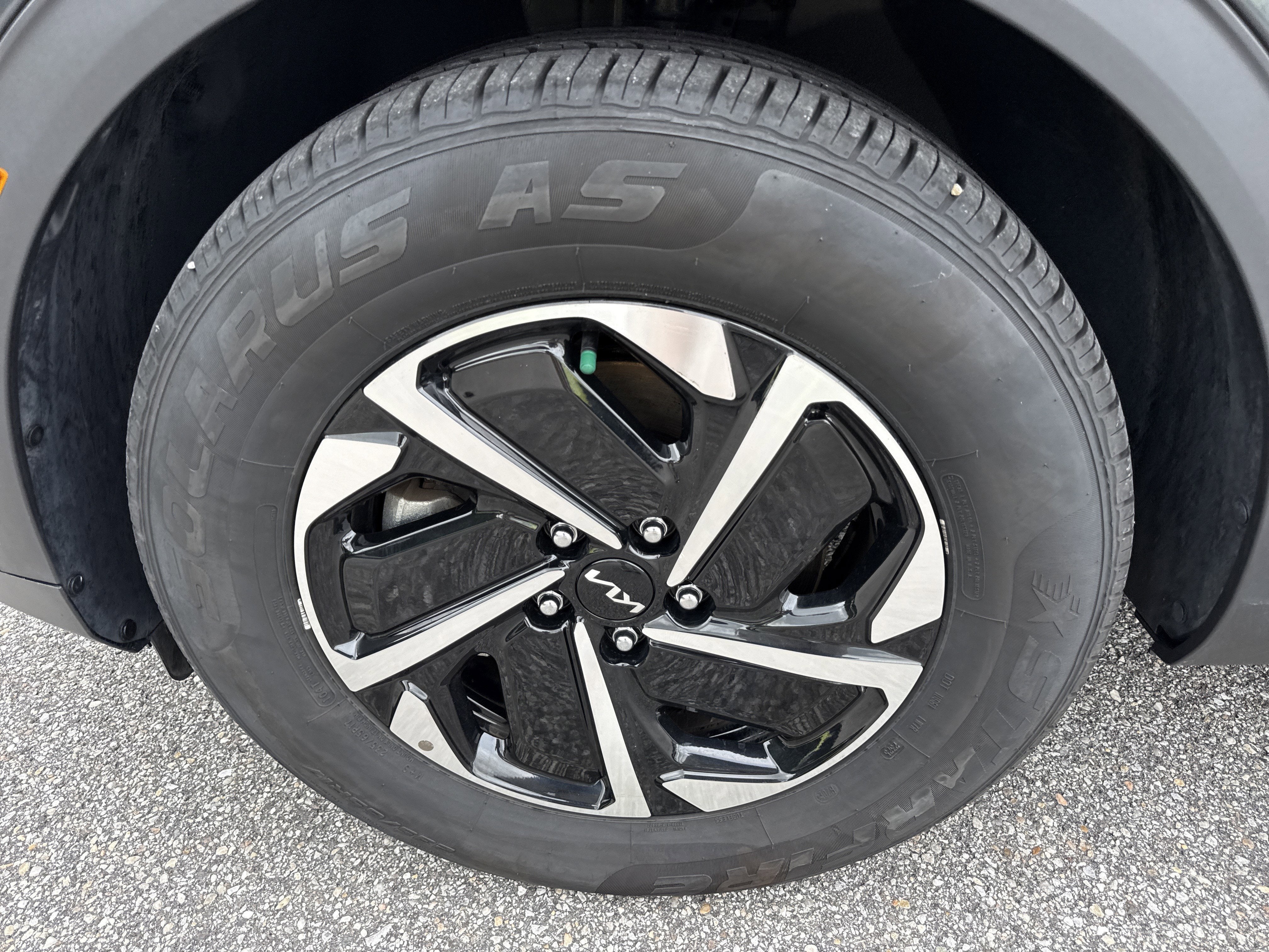 2025 Kia Sportage Hybrid LX