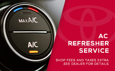 AC Refresher Service with Cabin Filter