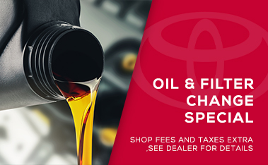 Oil & Filter Change Special